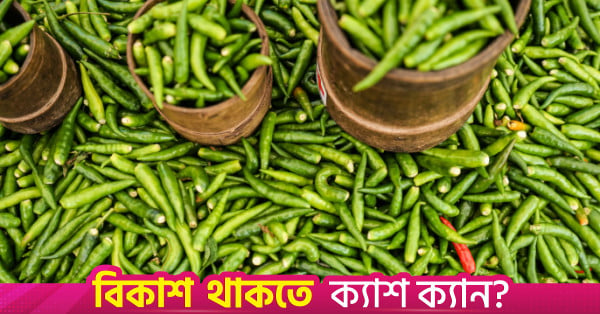 Bangladesh Cuts Import Tax on Green Chillies and Tomatoes to 20.5%