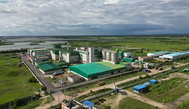 Bangladesh Needs Manmade Fiber Policy to Secure EU Market Access After 2029 LDC Graduation