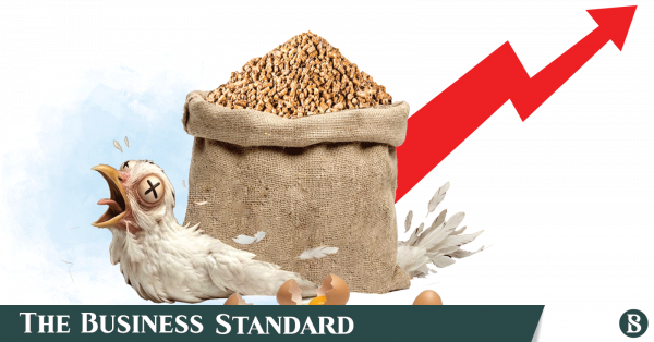 Bangladesh poultry feed prices jump twice in one month as raw material costs rise 27 percent