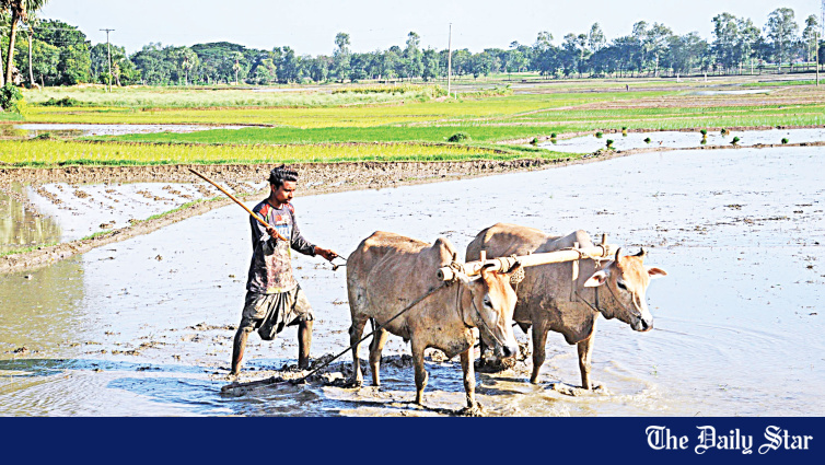Over Half of Bangladesh Farmers Earn Below Tk 34,000 a Year: BBS Survey