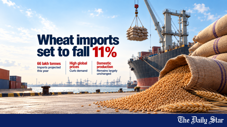 Bangladesh Wheat Imports Likely Fall 11% In 2026-27: USDA