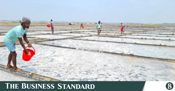 Climate Shocks Hit Bangladesh Salt Production: Prices Up 50% As FY26 Output Falls 28% Below Target