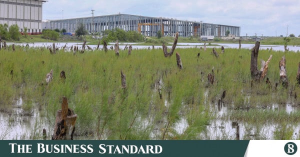 Infrastructure Shortages Erode Investor Confidence in Economic Zones: Only 27 Companies in Production