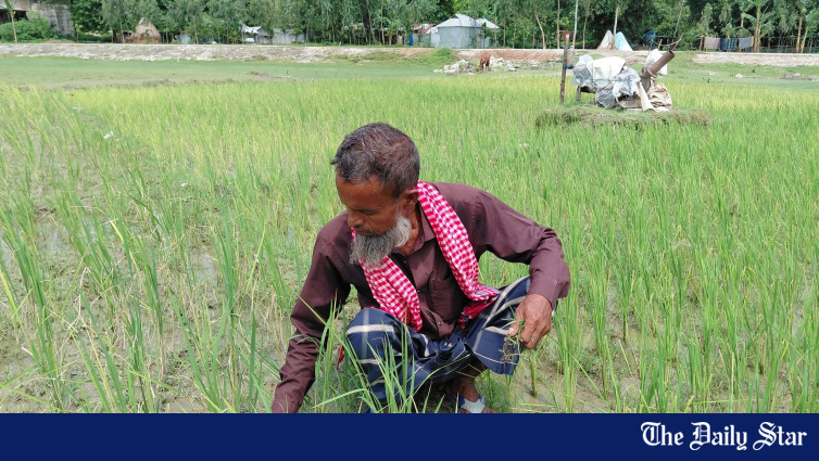 Kurigram Introduces Soil Health Protection Cards To Ensure Fertiliser Reaches Genuine Farmers