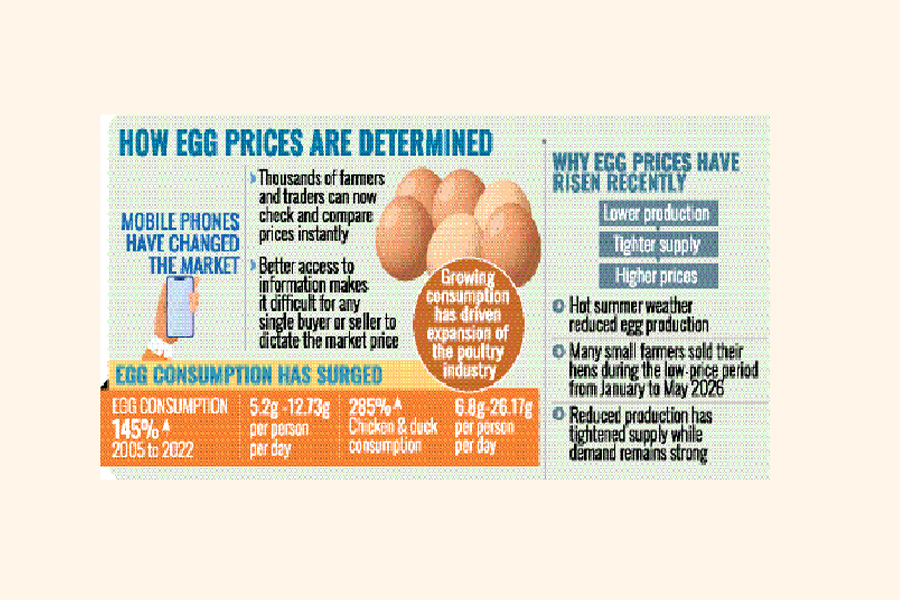 Mobile Phones And Internet Revolutionize Bangladesh Poultry Industry: Free Flow Of Price Information