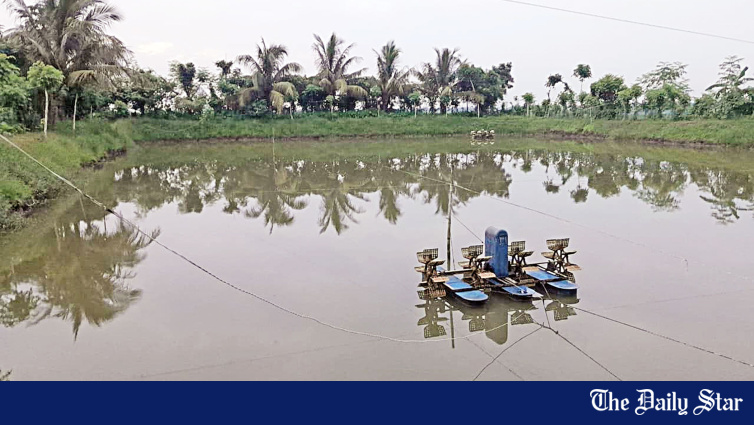 Power Shortages Threaten Bangladesh Khulna Shrimp Sector: Export Industry at Risk
