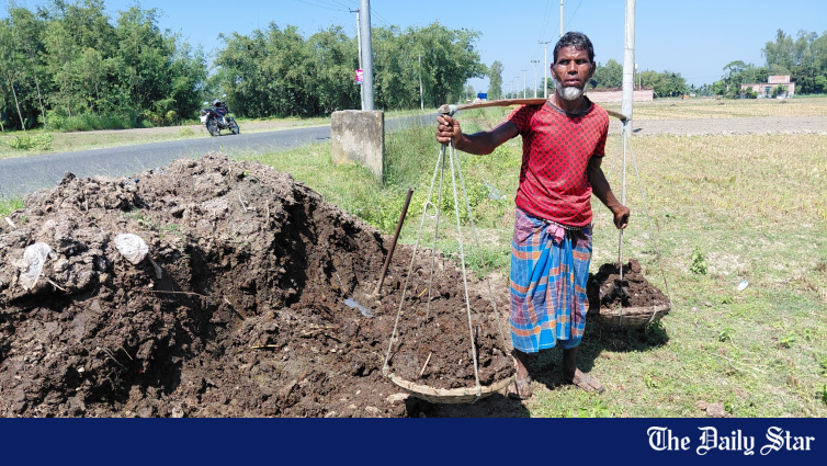Rangpur Farmers Turn to Organic Fertiliser as Soil Health and Supplies Bite