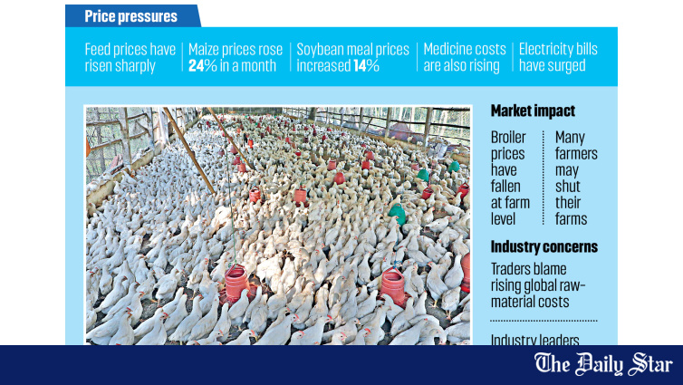 Rising Costs And Falling Prices Push Bangladesh Poultry Farmers To The Brink: Daily Star Investigation