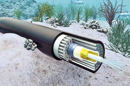 Submarine Cables Profit Jumps 37 Percent In FY26 As Bandwidth Demand Grows