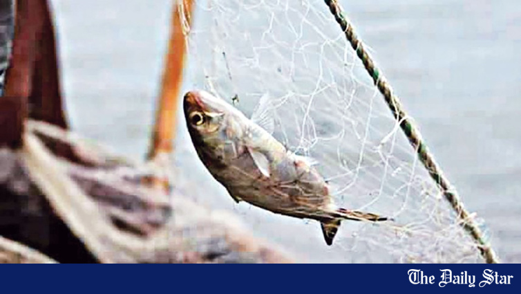 Tk 47 Crore Project Proposed to Revive Fisheries in 29 South-West Baors