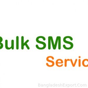 Bulk SMS Service — VC World — VC World