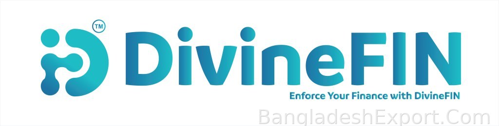 DivineFIN — DivineForce Software Limited — DivineForce Software Limited