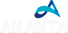 Ananta Denim Technology Ltd. logo