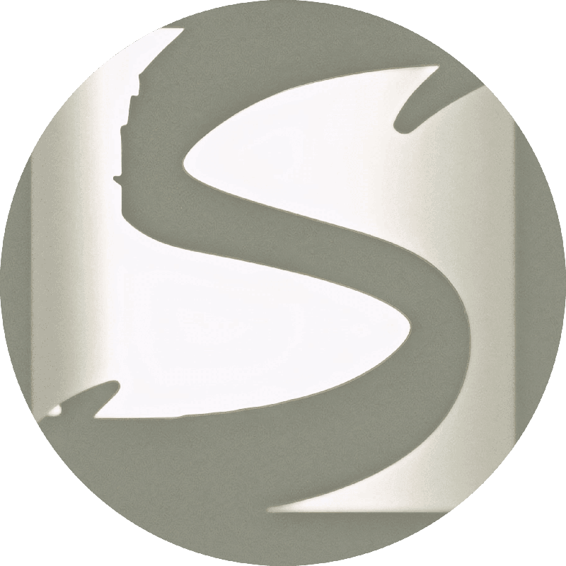 The Shanin Ltd. logo