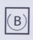 Bizline International S.A logo