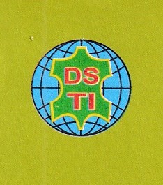 D.S. Trading International logo