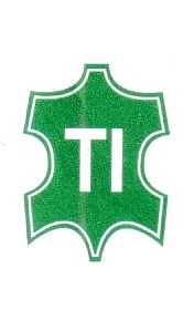 Tisha International logo