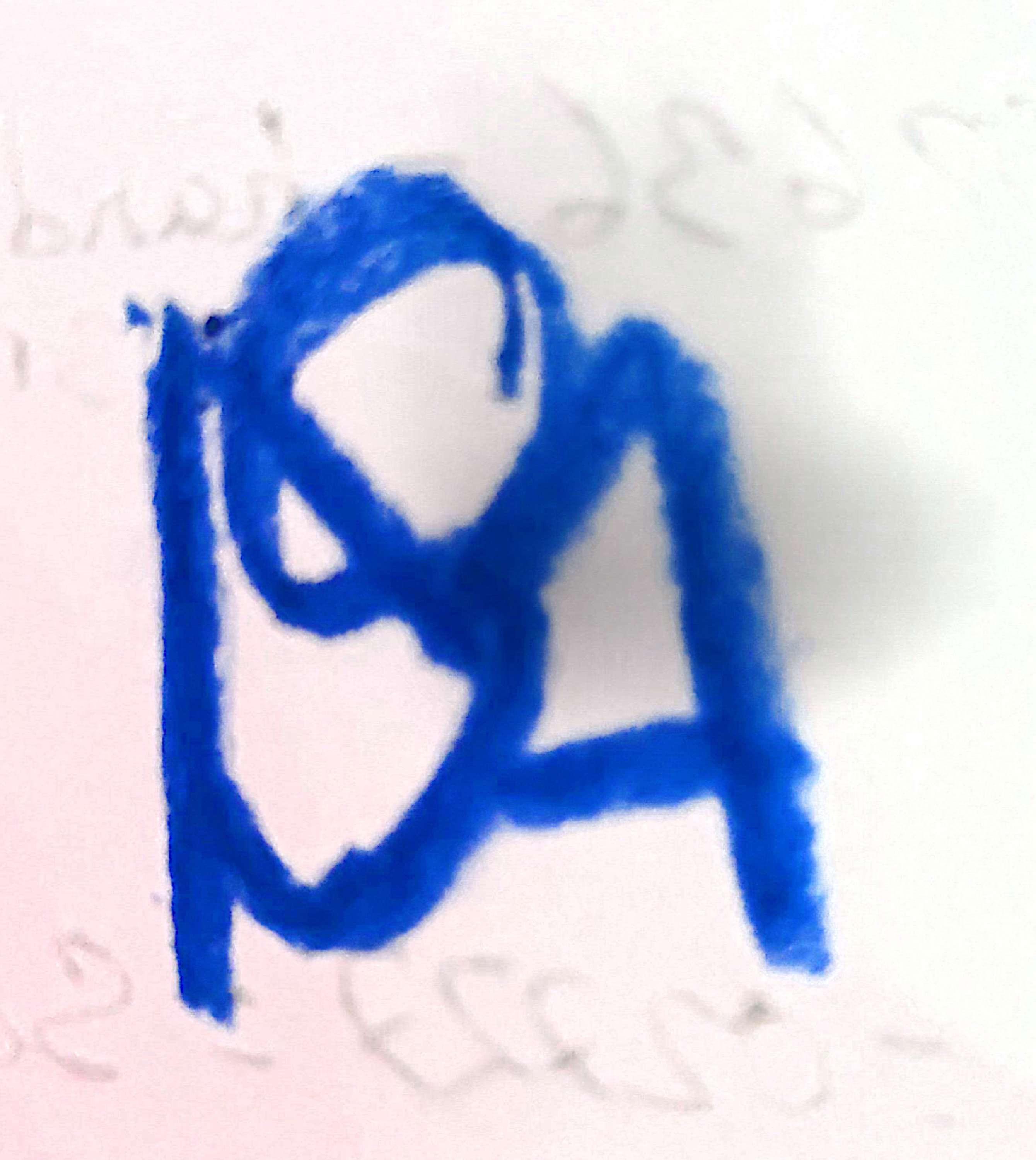 M/S Shamim Ahmed logo