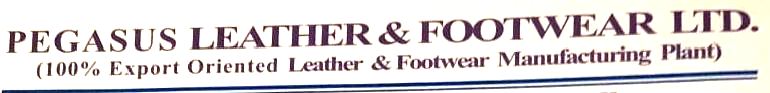 Pegasus Leather & Footwear Ltd logo