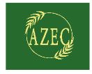 A Z Export Corporation logo