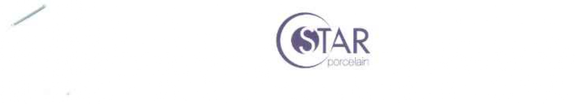 Star Porcelain Ltd. logo