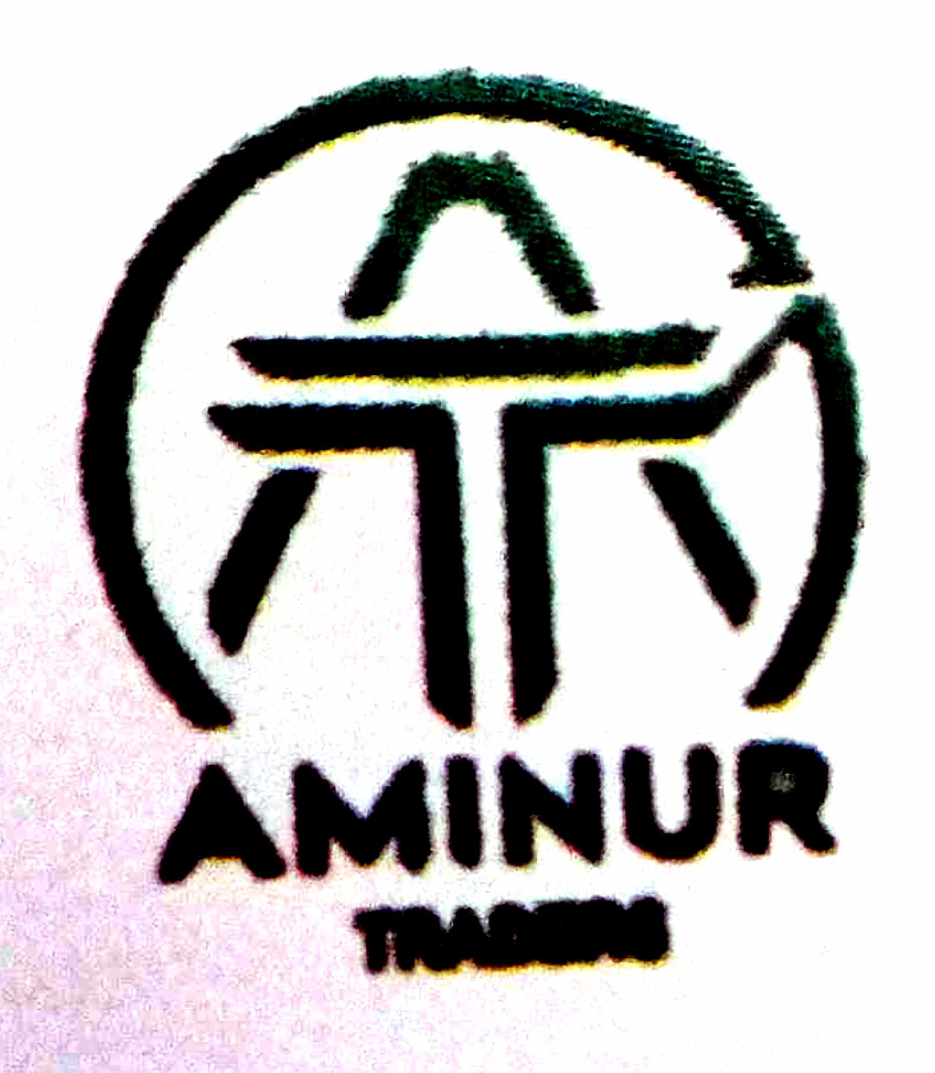 M/S. Aminur Traders logo