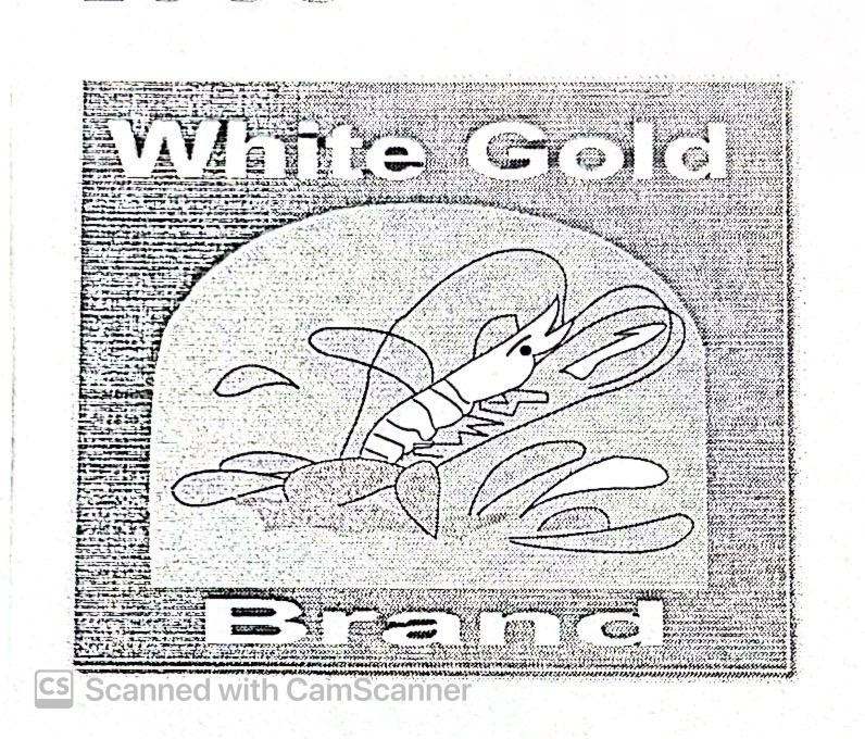 ORGANIC SHRIMPS EXPORT LTD logo