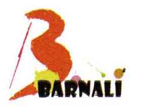 BARNALI TEXTILE AND PRINTING INDUSTRIES PVT LTD. logo