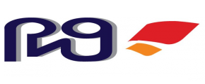 PNG(BD) LIMITED logo