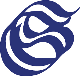 AL SALAM FABRICS (PVT.) LTD. logo