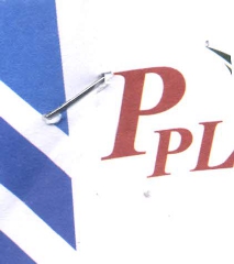 Prime Pusti Limited logo