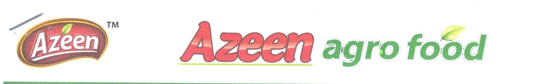 Azeen Agro Food logo