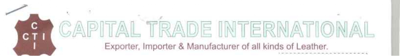 Capital Trade International logo