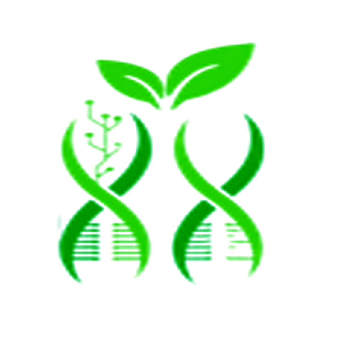 Yongli Biotechnology Co, Ltd. logo