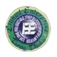 ETTIHAD ENTERPRISE logo