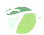 TANVEER FASHION logo