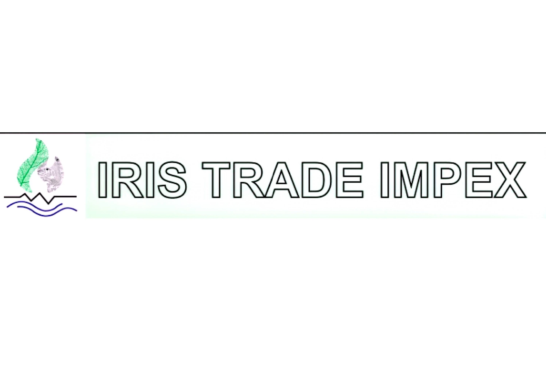 IRIS TRADE IMPEX logo