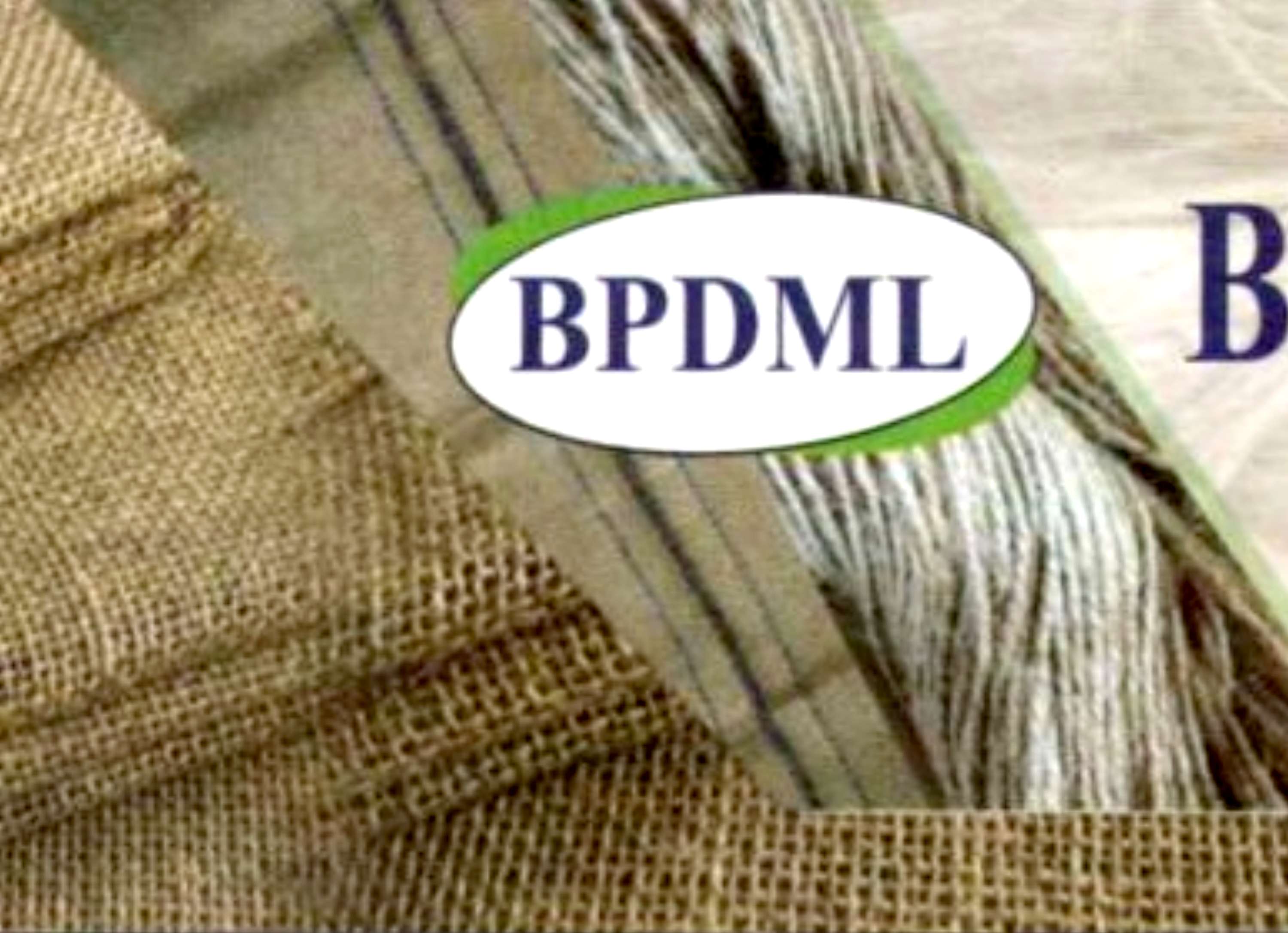 Bangla Pat Diversified Mills Limited logo