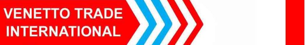 Venetto Trade International logo