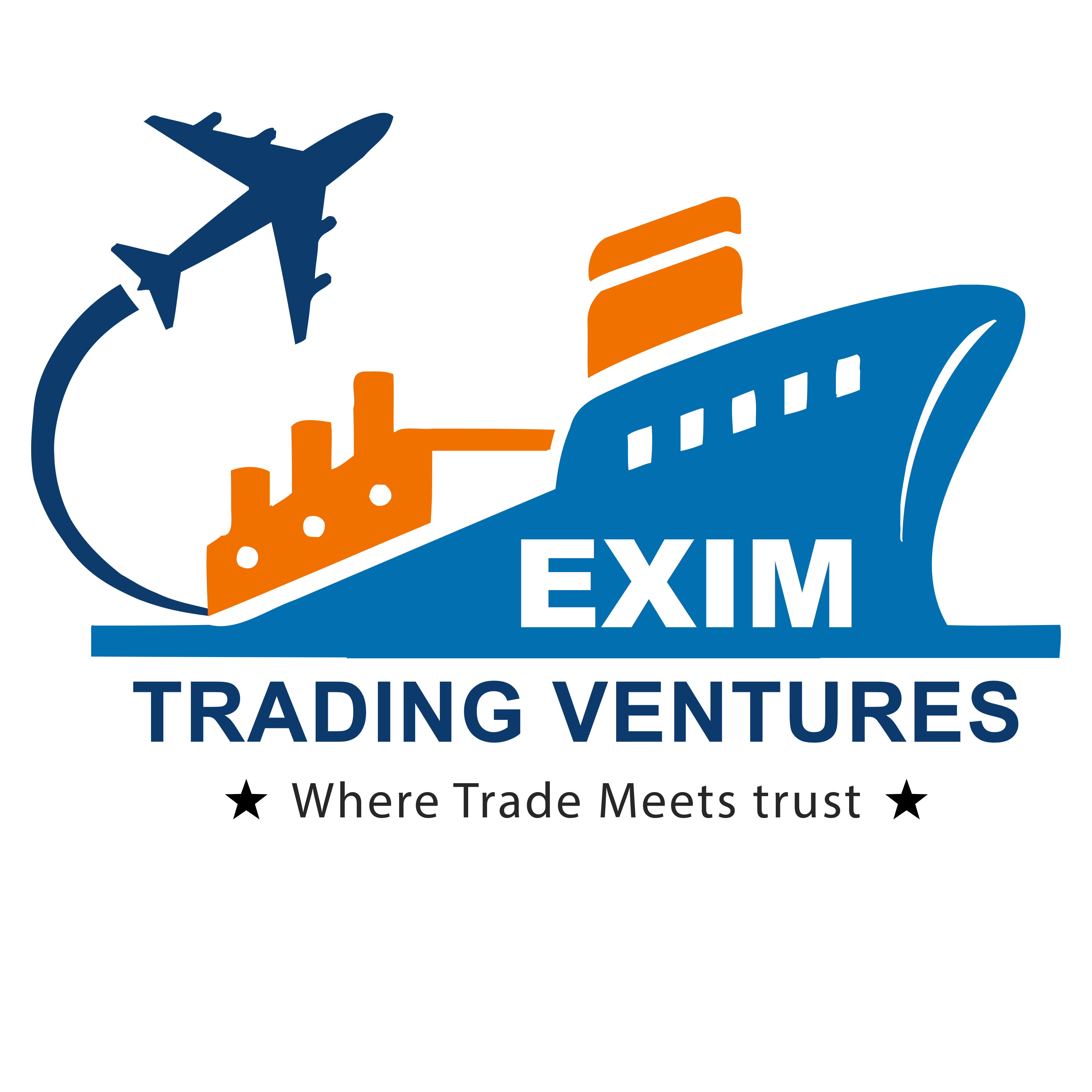 EXIM TRADING VENTURES logo