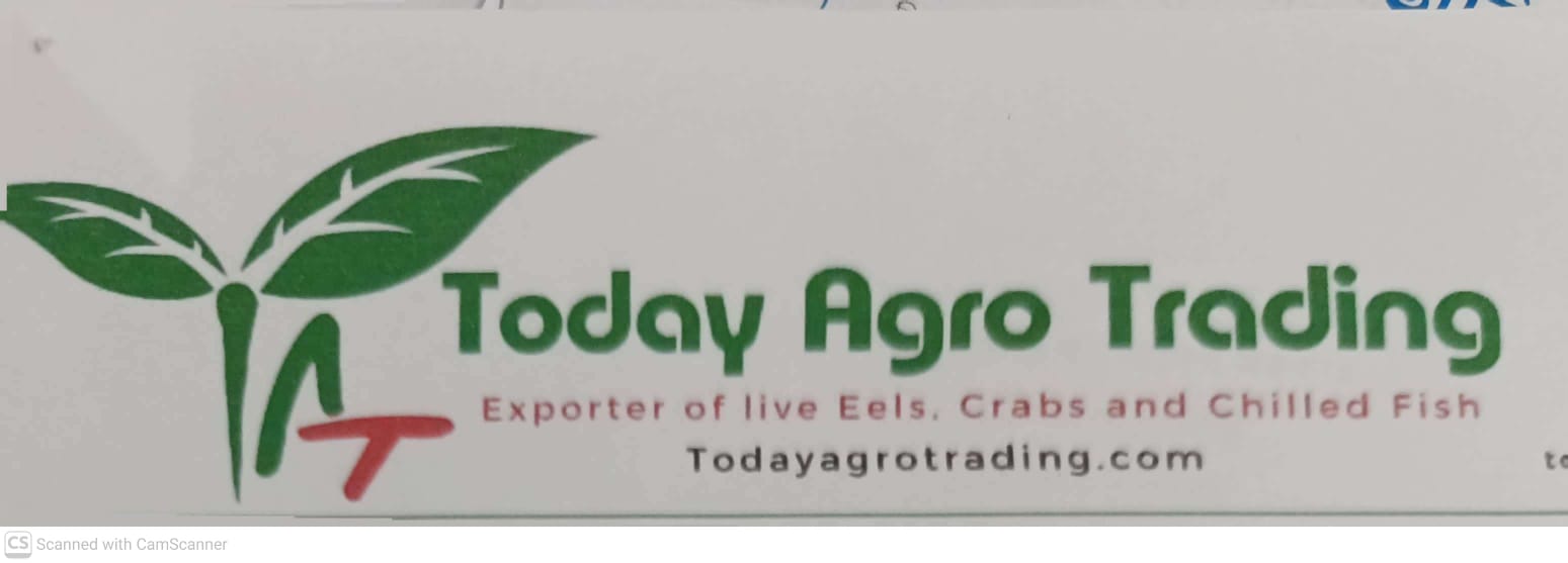 Today Agro Trading logo