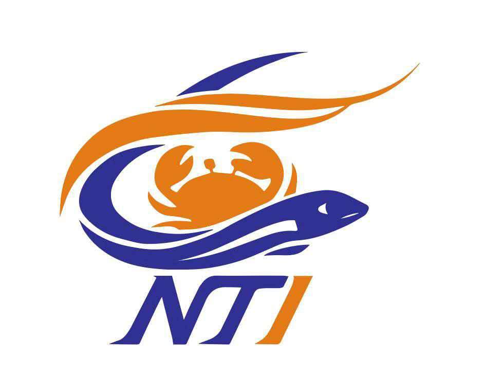 Nazifa Trade International logo