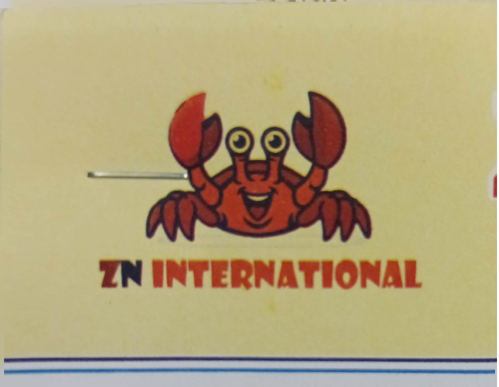 Z N International logo