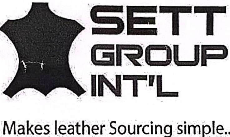 SETT GROUP INTERNATIONAL logo