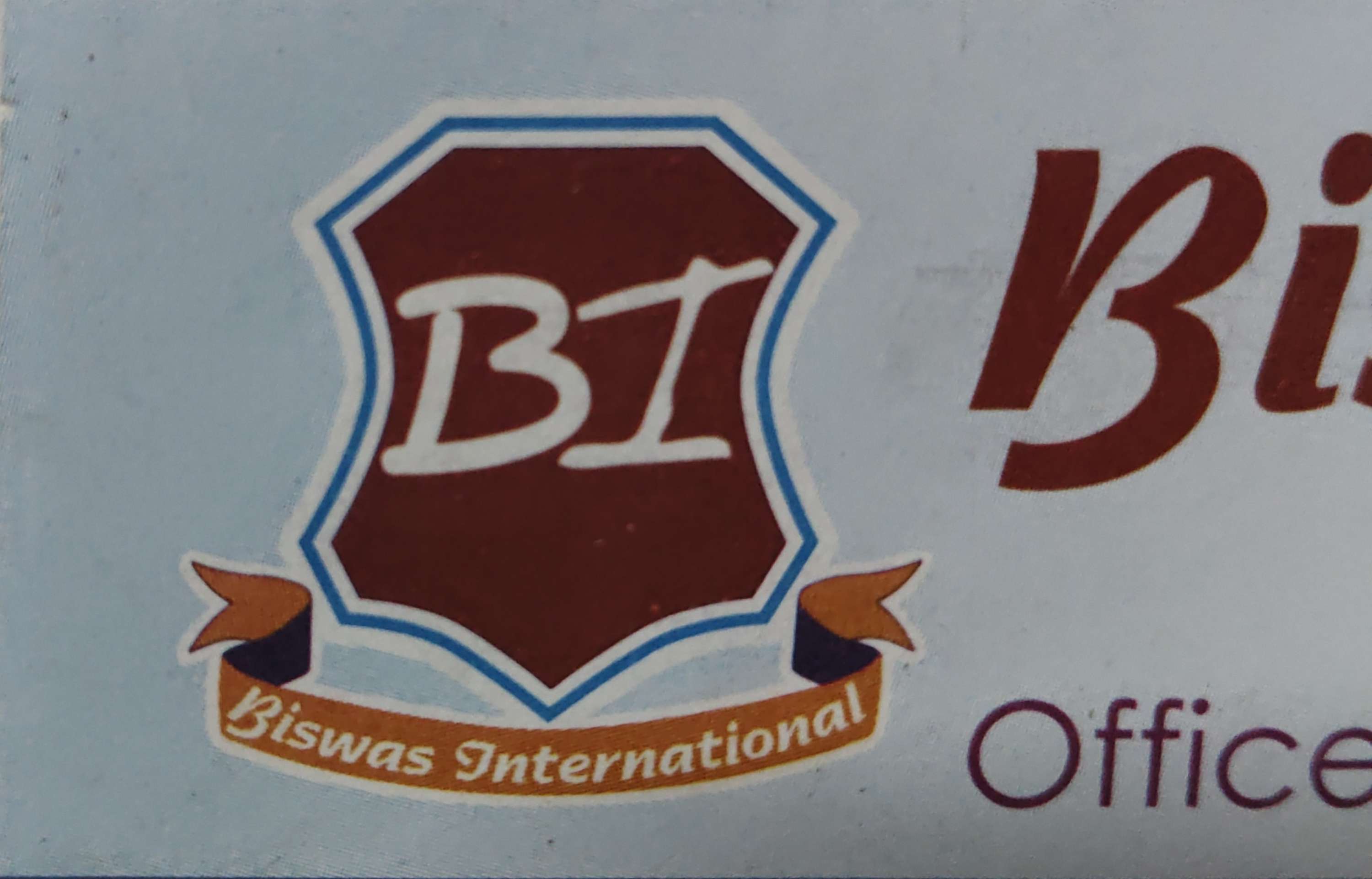 Biswas International logo