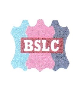 B.S. Leather complex logo