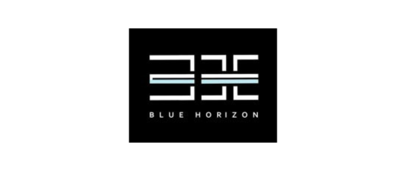Blue Horizon Footwear & Leather Products Ltd. logo