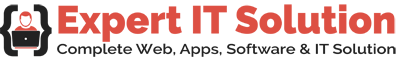 Expert IT Solution logo