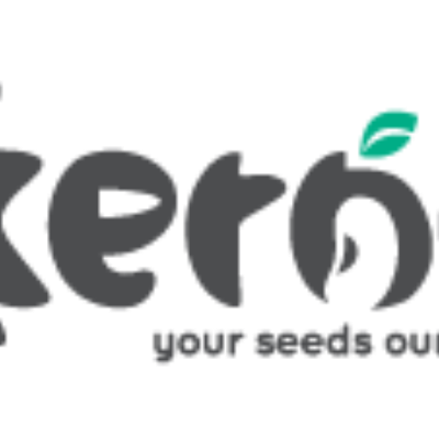 Kernel BD Corporation logo