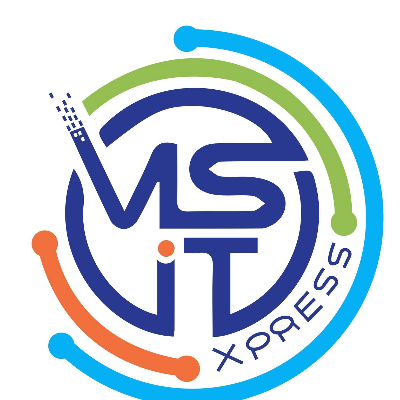 Ms IT Xpress logo